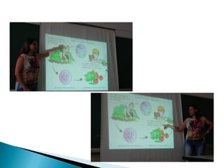 Seminário MGME Ciências - LINS