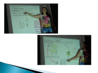 Seminário MGME Ciências - LINS