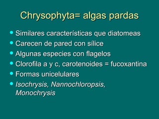 Chrysophyta= algas pardasChrysophyta= algas pardas
 Similares características que diatomeasSimilares características que diatomeas
 Carecen de pared con síliceCarecen de pared con sílice
 Algunas especies con flagelosAlgunas especies con flagelos
 Clorofila a y c, carotenoides = fucoxantinaClorofila a y c, carotenoides = fucoxantina
 Formas unicelularesFormas unicelulares
 Isochrysis, Nannochloropsis,Isochrysis, Nannochloropsis,
MonochrysisMonochrysis
 