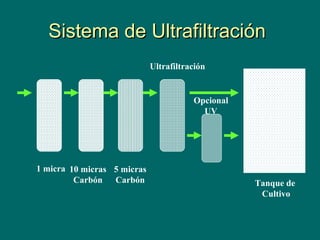 Sistema de UltrafiltraciónSistema de Ultrafiltración
1 micra 10 micras
Carbón
5 micras
Carbón
Ultrafiltración
Opcional
UV
Tanque de
Cultivo
 