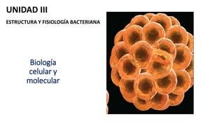 Biología
celular y
molecular
UNIDAD III
ESTRUCTURA Y FISIOLOGÍA BACTERIANA
 