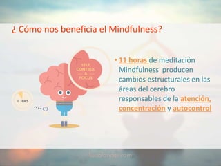 ¿ Cómo nos beneficia el Mindfulness?
• 11 horas de meditación
Mindfulness producen
cambios estructurales en las
áreas del cerebro
responsables de la atención,
concentración y autocontrol
 