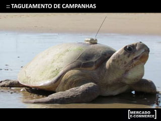 :: TAGUEAMENTO DE CAMPANHAS
 