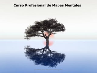 Curso Profesional de Mapas Mentales




          (C) Infoseg 2013 http://www.infoseg.com/
 