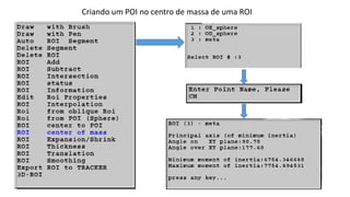 Criando um POI no centro de massa de uma ROI
 