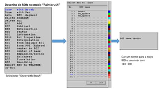 Desenho de ROIs no modo “Paintbrush”
Selecionar “Draw with Brush”
Dar um nome para a nova
ROI e terminar com
<ENTER>
 