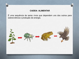 CADEIA ALIMENTAR
É uma sequência de seres vivos que dependem uns dos outros para
sobrevivência e produção de energia.
 