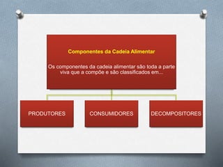 Componentes da Cadeia Alimentar
Os componentes da cadeia alimentar são toda a parte
viva que a compõe e são classificados em...
PRODUTORES CONSUMIDORES DECOMPOSITORES
 