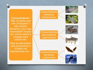 Consumidores:
São os seres que
não produzem o
seu próprio
alimento e por isso
necessitam buscar
em outros seres a
energia para
sobreviver.
Eles se alimentam
dos produtores e
dividem-se
basicamente em....
Consumidores
primários
(herbívoros)
Consumidores
secundários
(carnívoros)
Consumidores
terciários
(carnívoro)
 