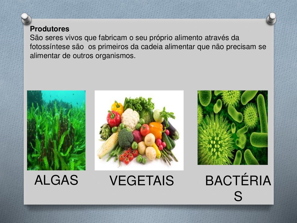 Como Se Chama Os Seres Que Produzem Seu Próprio Alimento