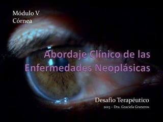 Módulo V
Córnea

Desafío Terapéutico
2013 – Dra. Graciela Graneros

 