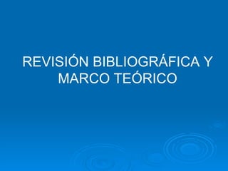 REVISIÓN BIBLIOGRÁFICA Y MARCO TEÓRICO 