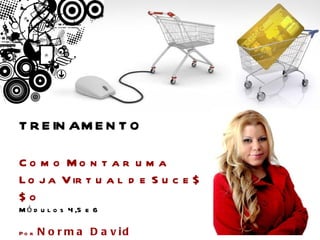 TREINAMENTO Como Montar uma Loja Virtual de Suce$$o Módulos 4,5 e 6  Por  Norma David 