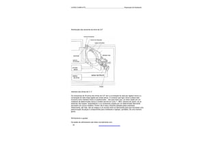 CURSO COMPLETO______________________________________________Reparação de Notebooks




Distribuição dos sensores do drive de 3,5"




Interface dos drives de 3 ½"

Os conectores de 34 pinos dos drives de 3,5" tem a numeração do lado par ligada à terra e a
numeração do lado impar ligada aos sinais ativos. O conector que liga o drive à placa-mãe
funciona como interface física e é padronizado. - Isto quer dizer que, um drive usado em um
notebook de determinada marca e modelo servirá em outro ?...Bem, deveria ser assim, se os
sistemas não fossem "proprietários" e os conectores usados por um determinado fabricante
servissem em outros modelos. Porém não é esta a filosofia adotada pelas empresas.
Infelizmente, até hoje, não se chegou a um acordo entre os fabricantes para que houvesse uma
padronização de peças e componentes para notebooks e laptops. (portáteis, de uma maneira
geral).


Alinhamento e ajustes

Os testes de alinhamento são feitos normalmente com
  62
 