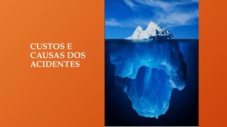 CUSTOS E
CAUSAS DOS
ACIDENTES
 