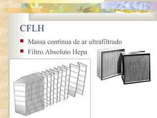 CFLH 
 Massa contínua de ar ultrafiltrado 
 Filtro Absoluto Hepa 
 