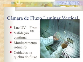 Câmara de Fluxo Laminar Vertical 
 Luz UV 
 Validação 
contínua 
 Monitoramento 
rotineiro 
 Cuidados na 
quebra do fluxo 
Trocar 
foto 
 