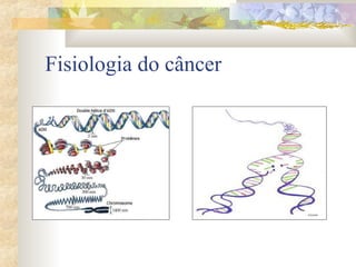Fisiologia do câncer 
 