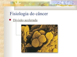 Fisiologia do câncer 
 Divisão acelerada 
 