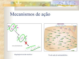 Mecanismos de ação 
Alquilação de ácido nucleico Via de ação de antimetabólitos 
 
