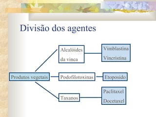 Divisão dos agentes 
Alcalóides 
da vinca 
Produtos vegetais Podofilotoxinas 
Vimblastina 
Vincristina 
Etoposido 
Taxanos 
Paclitaxel 
Docetaxel 
 