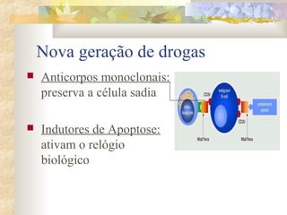 Nova geração de drogas 
 Anticorpos monoclonais: 
preserva a célula sadia 
 Indutores de Apoptose: 
ativam o relógio 
biológico 
 