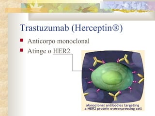 Trastuzumab (HerceptinÒ) 
 Anticorpo monoclonal 
 Atinge o HER2 
 