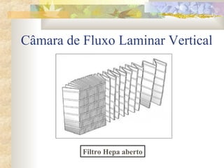 Câmara de Fluxo Laminar Vertical 
Filtro Hepa aberto 
 