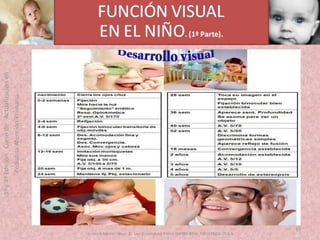 OFTALMOLOGIA BASICA EN PRIMARIA  CURSO