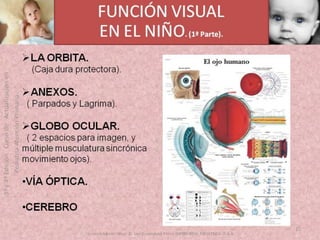OFTALMOLOGIA BASICA EN PRIMARIA  CURSO