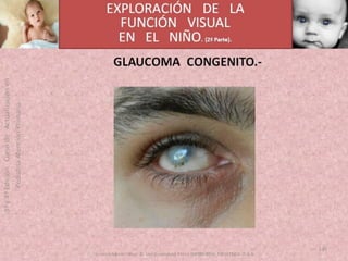 OFTALMOLOGIA BASICA EN PRIMARIA  CURSO