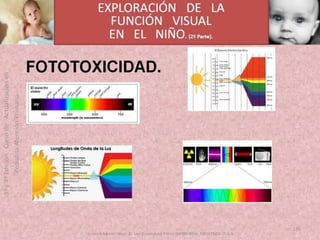 OFTALMOLOGIA BASICA EN PRIMARIA  CURSO