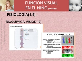 OFTALMOLOGIA BASICA EN PRIMARIA  CURSO