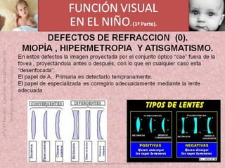 OFTALMOLOGIA BASICA EN PRIMARIA  CURSO