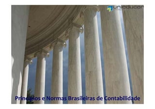 Princípios e Normas Brasileiras de Contabilidade
 