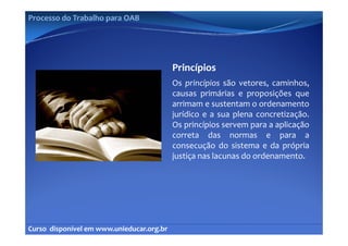 Processo do Trabalho para OAB




                                            Princípios
                                            Os princípios são vetores, caminhos,
                                            causas primárias e proposições que
                                            arrimam e sustentam o ordenamento
                                            jurídico e a sua plena concretização.
                                            Os i í i
                                            O princípios servem para a aplicação
                                                                          li ã
                                            correta das normas e para a
                                            consecução do sistema e da própria
                                            justiça nas lacunas do ordenamento.




Curso  disponível em www.unieducar.org.br
 