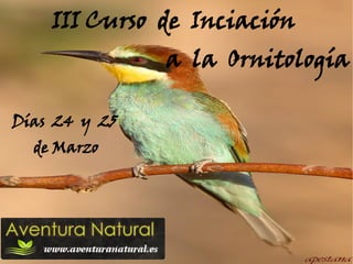 III Curso de Inciación
               a la Ornitología

Días 24 y 25
  de Marzo
 