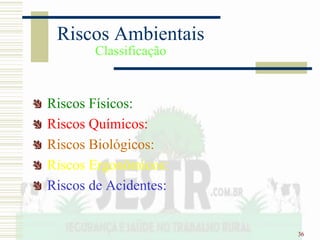 36
Riscos Ambientais
Classificação
Riscos Físicos:
Riscos Químicos:
Riscos Biológicos:
Riscos Ergonômicos:
Riscos de Acidentes:
 