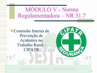 6
MÓDULO V - Norma
Regulamentadora – NR 31.7
Comissão Interna de
Prevenção de
Acidentes no
Trabalho Rural -
CIPATR
 