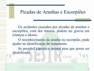 71
Picadas de Aranhas e Escorpiões
Os acidentes causados por picadas de aranhas e
escorpiões, com dor intensa, podem ser graves em
crianças e idosos.
O reconhecimento da aranha ou escorpião, pode
ajudar na identificação do tratamento.
Se possível capture o animal para que possa ser
identificado.
 