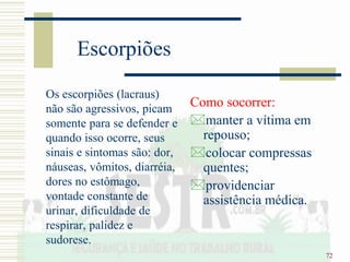 72
Escorpiões
Os escorpiões (lacraus)
não são agressivos, picam
somente para se defender e
quando isso ocorre, seus
sinais e sintomas são: dor,
náuseas, vômitos, diarréia,
dores no estômago,
vontade constante de
urinar, dificuldade de
respirar, palidez e
sudorese.
Como socorrer:
manter a vítima em
repouso;
colocar compressas
quentes;
providenciar
assistência médica.
 