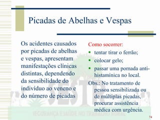 74
Picadas de Abelhas e Vespas
Os acidentes causados
por picadas de abelhas
e vespas, apresentam
manifestações clínicas
distintas, dependendo
da sensibilidade do
indivíduo ao veneno e
do número de picadas
Como socorrer:
 tentar tirar o ferrão;
 colocar gelo;
 passar uma pomada anti-
histamínica no local.
Obs.: No tratamento de
pessoa sensibilizada ou
de múltiplas picadas,
procurar assistência
médica com urgência.
 