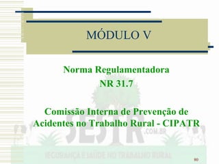 80
MÓDULO V
Norma Regulamentadora
NR 31.7
Comissão Interna de Prevenção de
Acidentes no Trabalho Rural - CIPATR
 