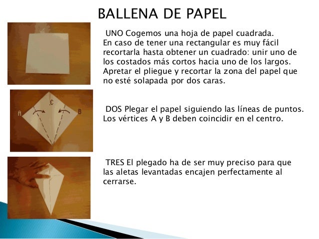 Curso Para Papiroflexia