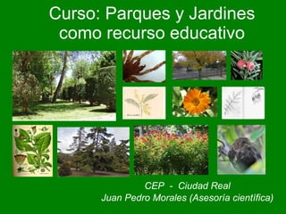 Curso: Parques y Jardines como recurso educativo CEP  -  Ciudad Real Juan Pedro Morales (Asesoría científica) 