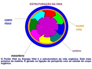 ESTRUTURAÇÃO DA VIDA
ESPÍRITO
PERISPÍRITO
CORPO
FÍSICO
FLUIDO
VITAL
O Fluido Vital ou Energia Vital é a estruturadora da vida orgânica, Está mais
próximo da matéria. É gerado na ligação do perispírito com as células do corpo
orgânico.
 