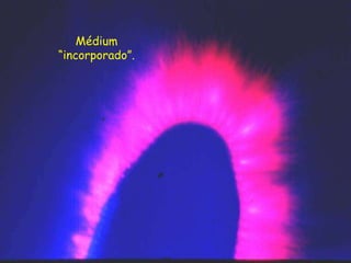 Médium
“incorporado”.
 