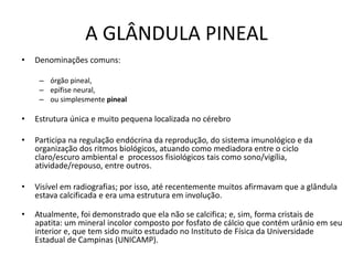A GLÂNDULA PINEAL
• Denominações comuns:
– órgão pineal,
– epífise neural,
– ou simplesmente pineal
• Estrutura única e muito pequena localizada no cérebro
• Participa na regulação endócrina da reprodução, do sistema imunológico e da
organização dos ritmos biológicos, atuando como mediadora entre o ciclo
claro/escuro ambiental e processos fisiológicos tais como sono/vigília,
atividade/repouso, entre outros.
• Visível em radiografias; por isso, até recentemente muitos afirmavam que a glândula
estava calcificada e era uma estrutura em involução.
• Atualmente, foi demonstrado que ela não se calcifica; e, sim, forma cristais de
apatita: um mineral incolor composto por fosfato de cálcio que contém urânio em seu
interior e, que tem sido muito estudado no Instituto de Física da Universidade
Estadual de Campinas (UNICAMP).
 