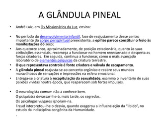 A GLÂNDULA PINEAL
• André Luiz, em Os Missionários da Luz, ensina:
• No período do desenvolvimento infantil, fase de reajustamento desse centro
importante do corpo perispiritual preexistente, a epífise parece constituir o freio às
manifestações do sexo;
• Aos quatorze anos, aproximadamente, de posição estacionária, quanto às suas
atribuições essenciais, recomeça a funcionar no homem reencarnado e desperta as
forças criadoras. Em seguida, continua a funcionar, como o mais avançado
laboratório de elementos psíquicos da criatura terrestre.
• O que representava controle é fonte criadora e válvula de escapamento.
• A glândula pineal reajusta-se ao concerto orgânico e reabre seus mundos
maravilhosos de sensações e impressões na esfera emocional.
• Entrega-se a criatura à recapitulação da sexualidade, examina o inventário de suas
paixões vividas noutra época, que reaparecem sob fortes impulsos.
• O neurologista comum não a conhece bem.
O psiquiatra devassar-lhe-á, mais tarde, os segredos.
Os psicólogos vulgares ignoram-na.
Freud interpretou-lhe o desvio, quando exagerou a influenciação da “libido”, no
estudo da indisciplina congênita da Humanidade.
.
 