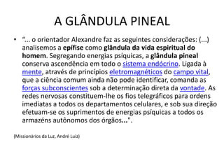 A GLÂNDULA PINEAL
• “... o orientador Alexandre faz as seguintes considerações: (...)
analisemos a epífise como glândula da vida espiritual do
homem. Segregando energias psíquicas, a glândula pineal
conserva ascendência em todo o sistema endócrino. Ligada à
mente, através de princípios eletromagnéticos do campo vital,
que a ciência comum ainda não pode identificar, comanda as
forças subconscientes sob a determinação direta da vontade. As
redes nervosas constituem-lhe os fios telegráficos para ordens
imediatas a todos os departamentos celulares, e sob sua direção
efetuam-se os suprimentos de energias psíquicas a todos os
armazéns autônomos dos órgãos...".
(Missionários da Luz, André Luiz)
 
